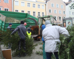 ökumenische Christbaumaktion ökumenische Christbaumaktion