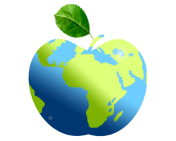 Schöpfungstag Schöpfungstag